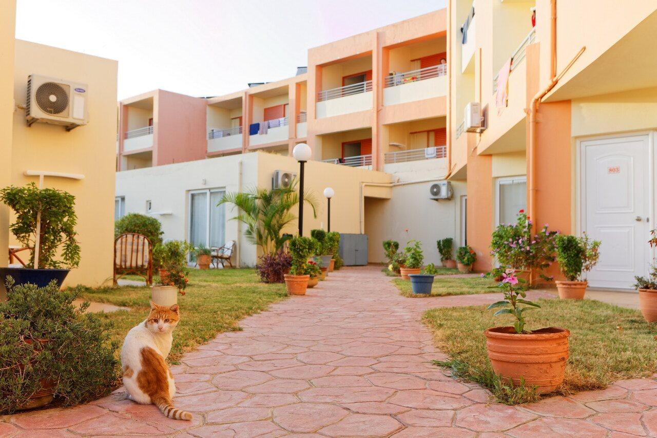 Rethymno Village المظهر الخارجي الصورة